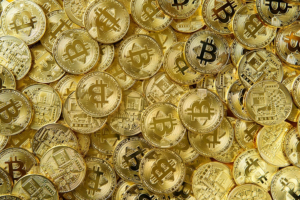 gold coins